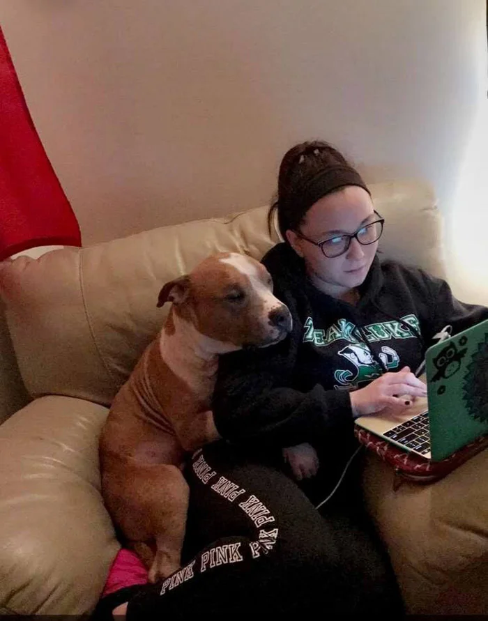 Russ acurrucado al lado de Kayla