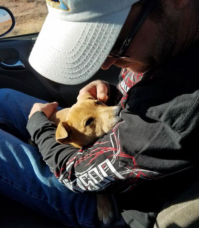 Ambos cachorros son muy amigables