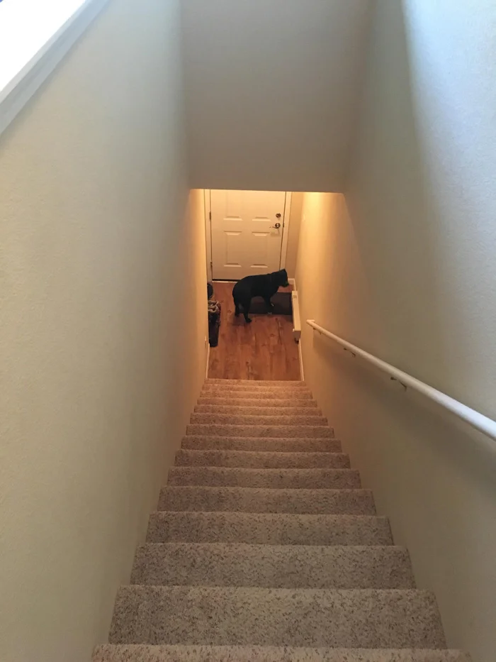 Él estaba muy débil