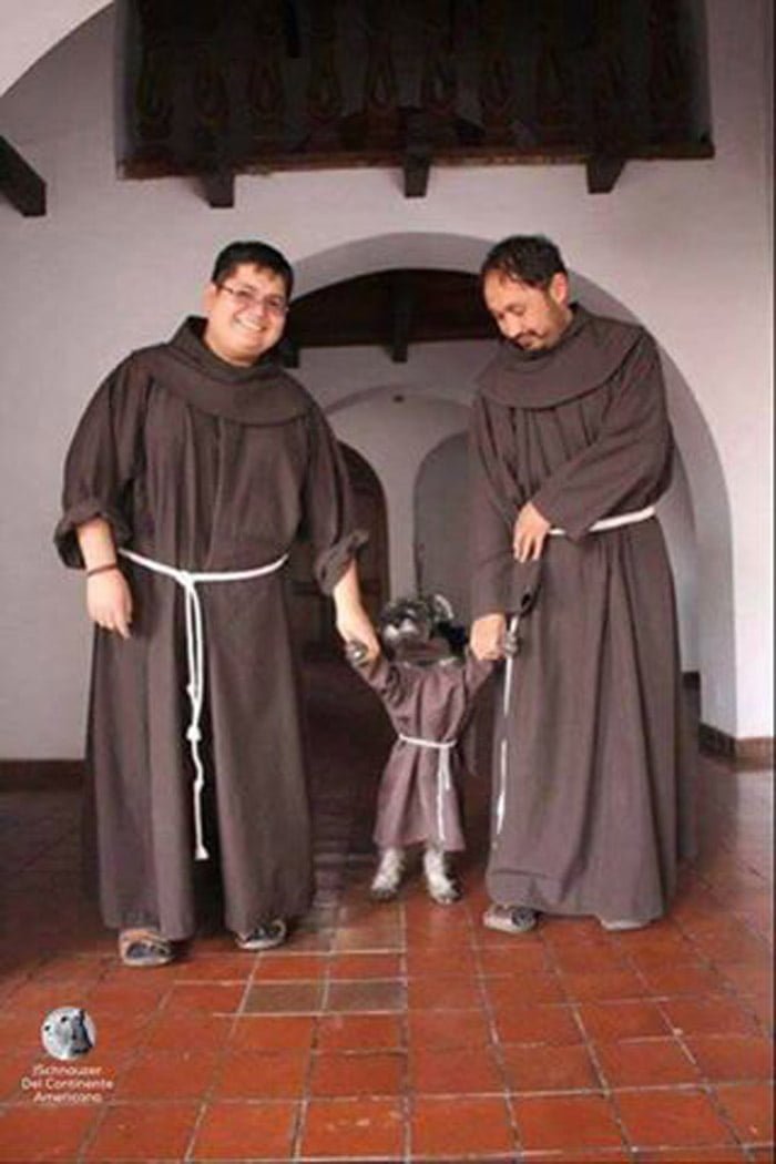 Este perro fue adoptado por franciscanos Este perro fue adoptado por franciscanos