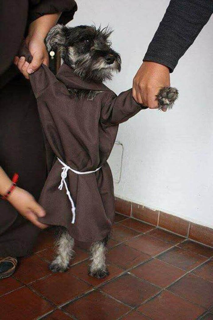 Fray Bigotón Fray Bigoton tiene un hábito de monje