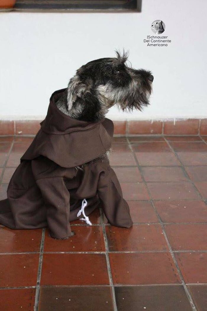 Fray Bigotón Fray Bigotón