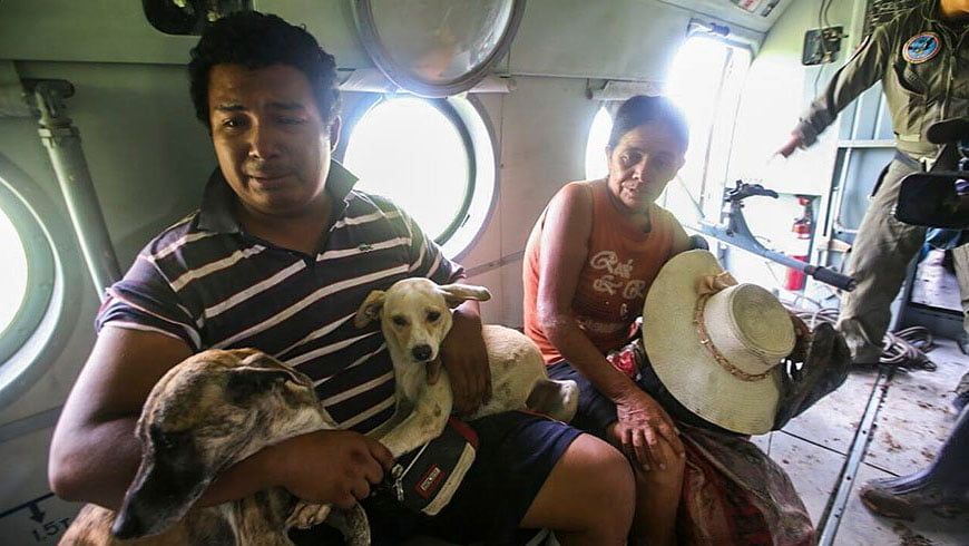 Hombre llora cuando fue rescatado y no dejó a sus perros