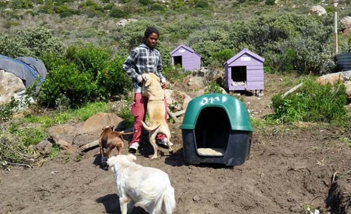 Lo echaron de su casa por ayudar a los animales