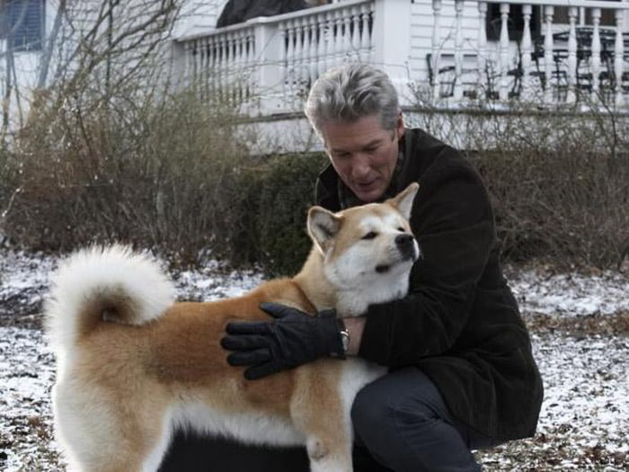 Mono es comparado con Hachiko