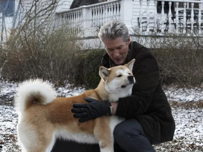 Mono Mono es comparado con Hachiko