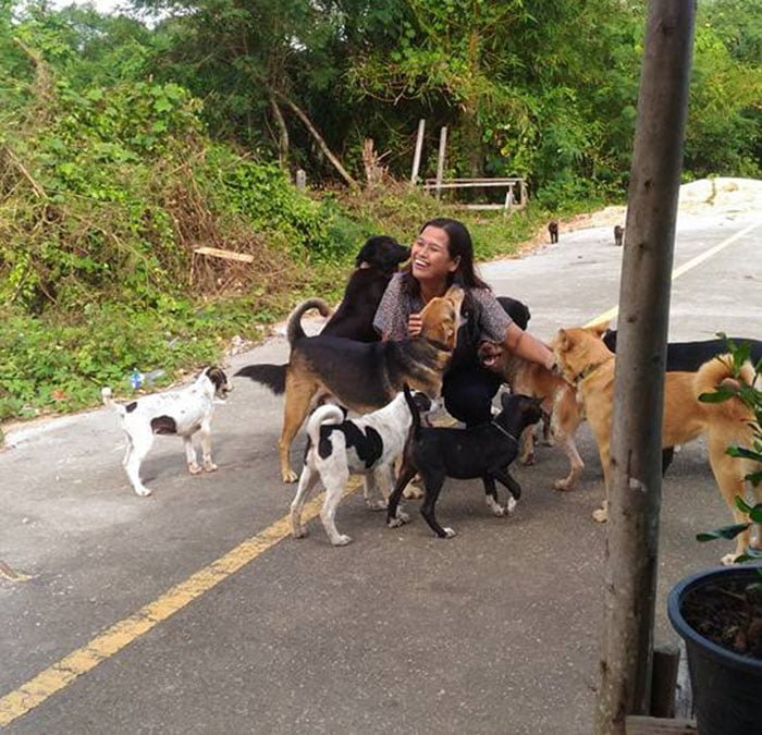 Mujer alimenta a perro sin hogar