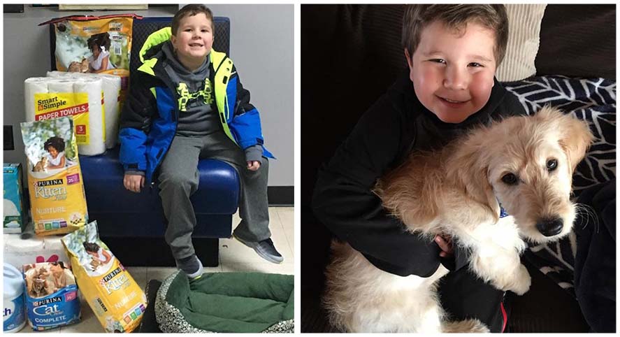 Niño con un tumor cerebral ayuda a los animales