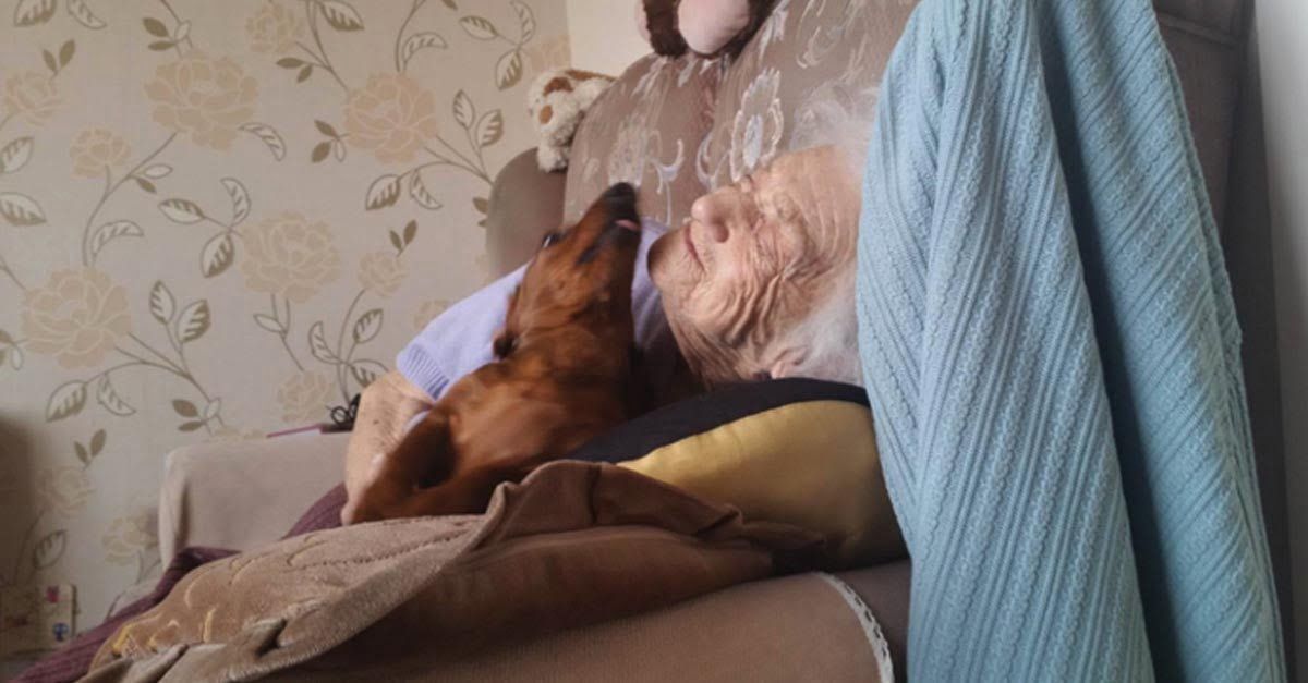 Perra visita a una abuelita con Alzheimer y la hace muy feliz