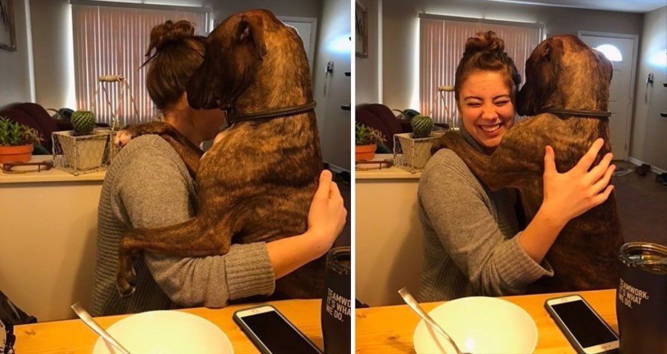 Perro abraza a su madre adoptiva todos los días