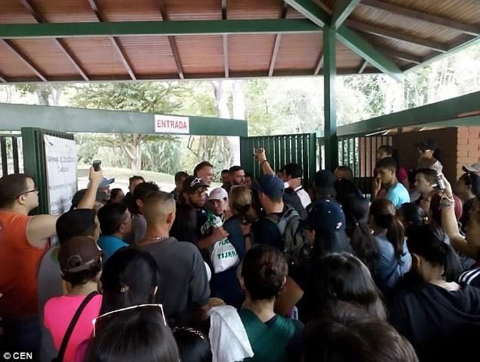 Personas intentaron alimentar a Ruperta Personas intentaron alimentar a Ruperta