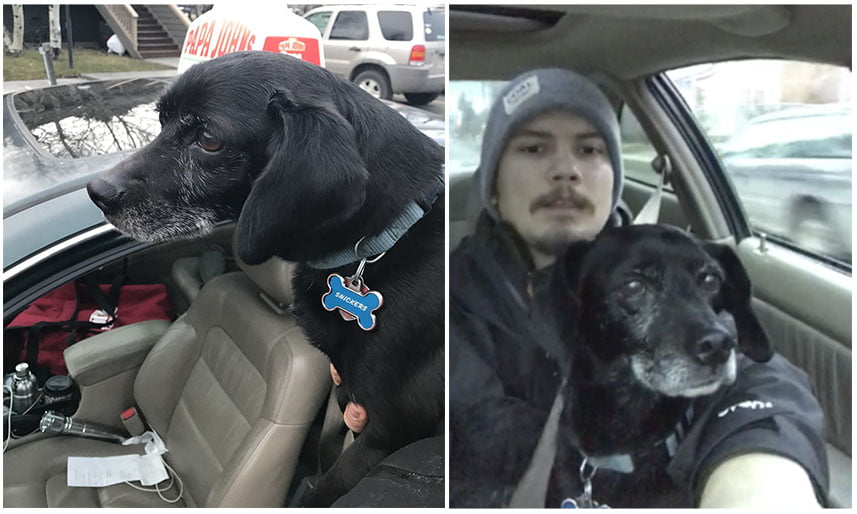 Repartidor de pizza ayudó a un perro extraviado