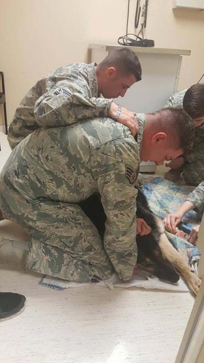 Soldado se despide de su perro