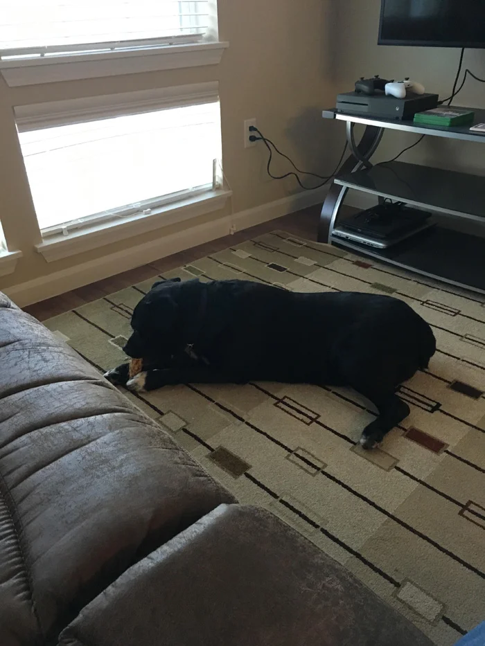 Tom es parte de una amoroso hogar