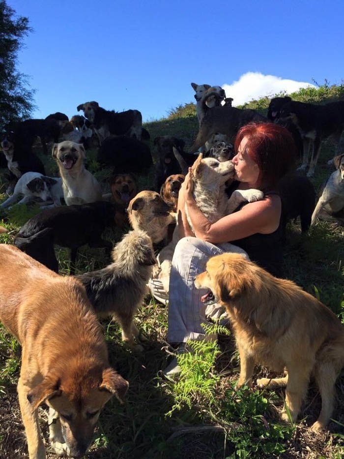 Lya y los perros del santuario Battle y el santuario