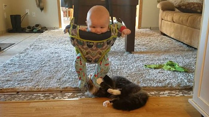 Calvin y su gato Calvin y su gato