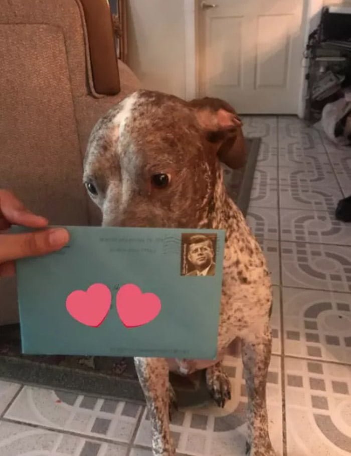 Carta de Frankie para Apolo Carta de Frankie para Apolo