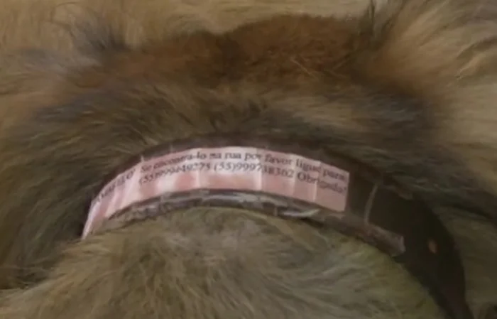 Collar de Amarelo