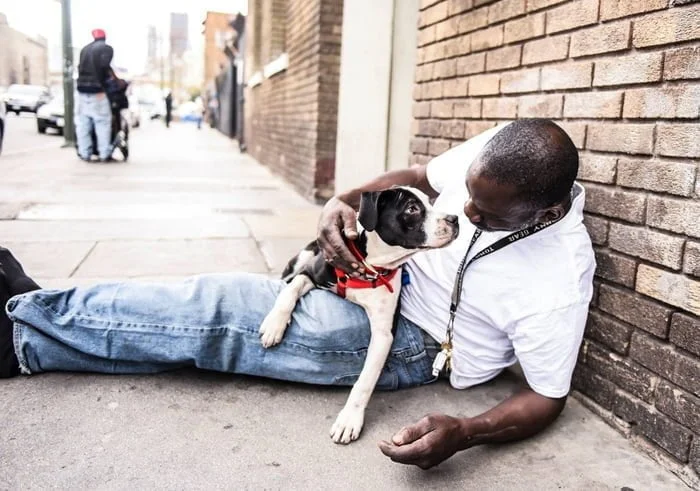Perro y hombre sin hogar Perro y hombre sin hogar