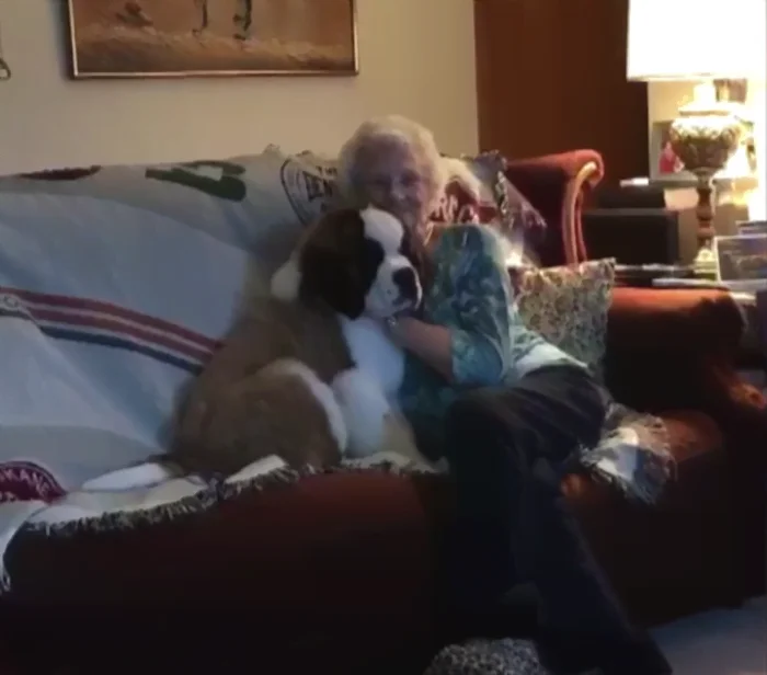 Ellos siempre estan juntos