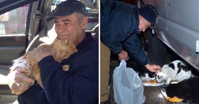 Este bondadoso hombre lleva más de 20 años cuidando gatos sin hogar