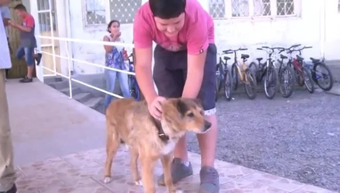 Este perro vive en una escuela y todos lo aman