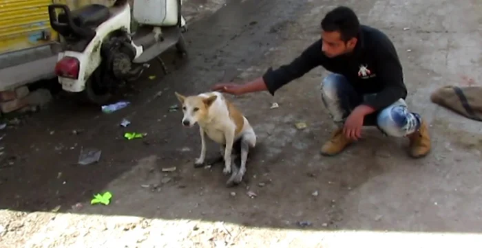 Georgie era muy tímido y miedoso