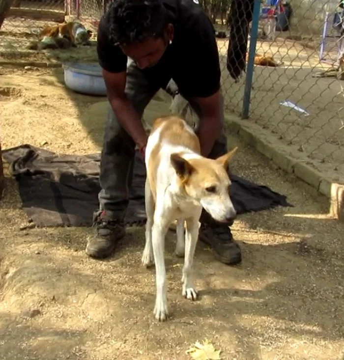 Georgie fue cuidado con mucho amor