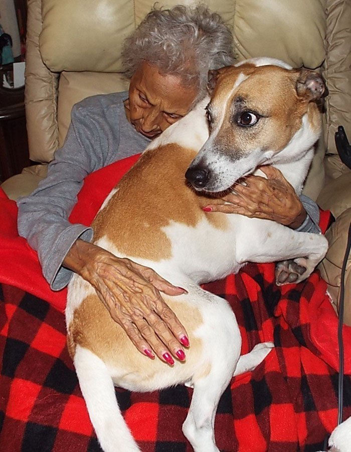 Gloria Gutierrez y uno de sus perros Gloria Gutierrez quiere que sus perros estén bien