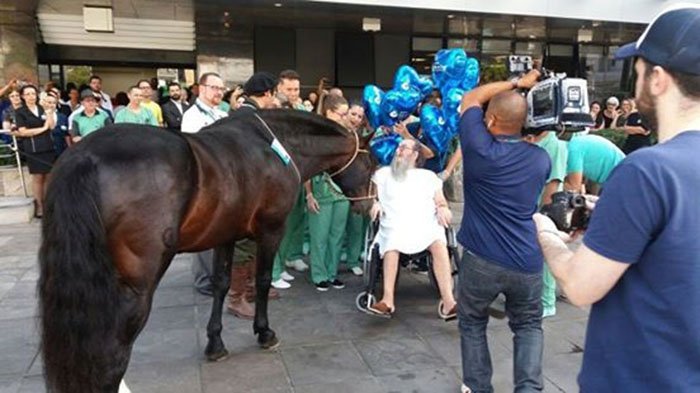 Hombre mejora cuando su caballo lo visita Hombre mejora cuando su caballo lo visita