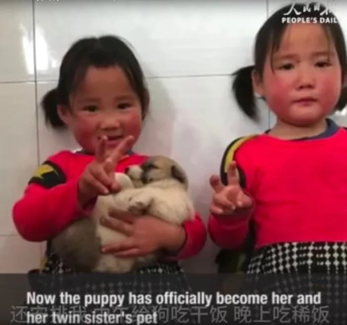 La niña, el cachorro y su hermana