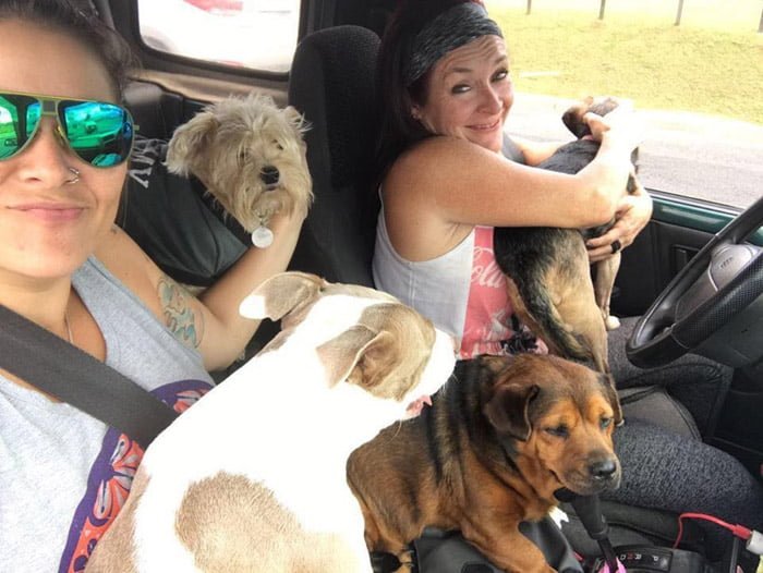Lya ayuda a cientos de perros Lya ayuda a cientos de perros