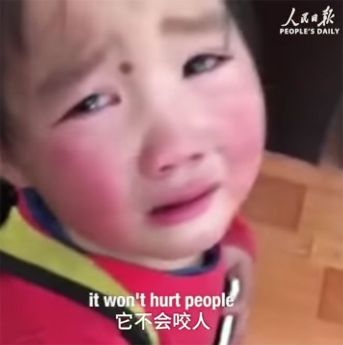 Niña llorando Niña llorando