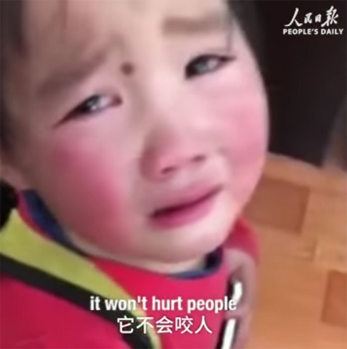 Niña llorando