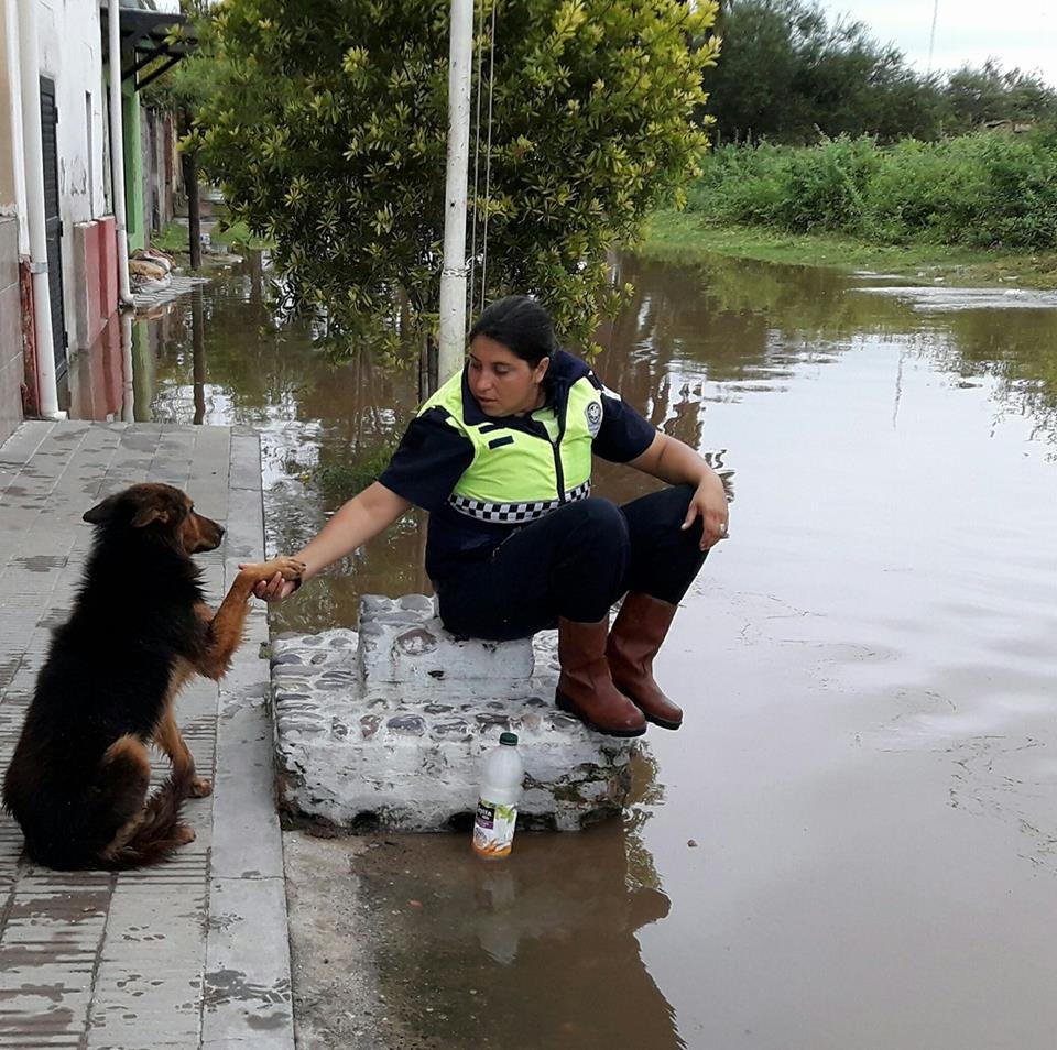 El perro invidente que ayudó a rescatar a las personas en inundación en Argentina 2 Ojito y María Oliva