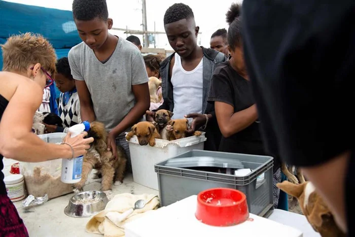 Organización Tin Can Town