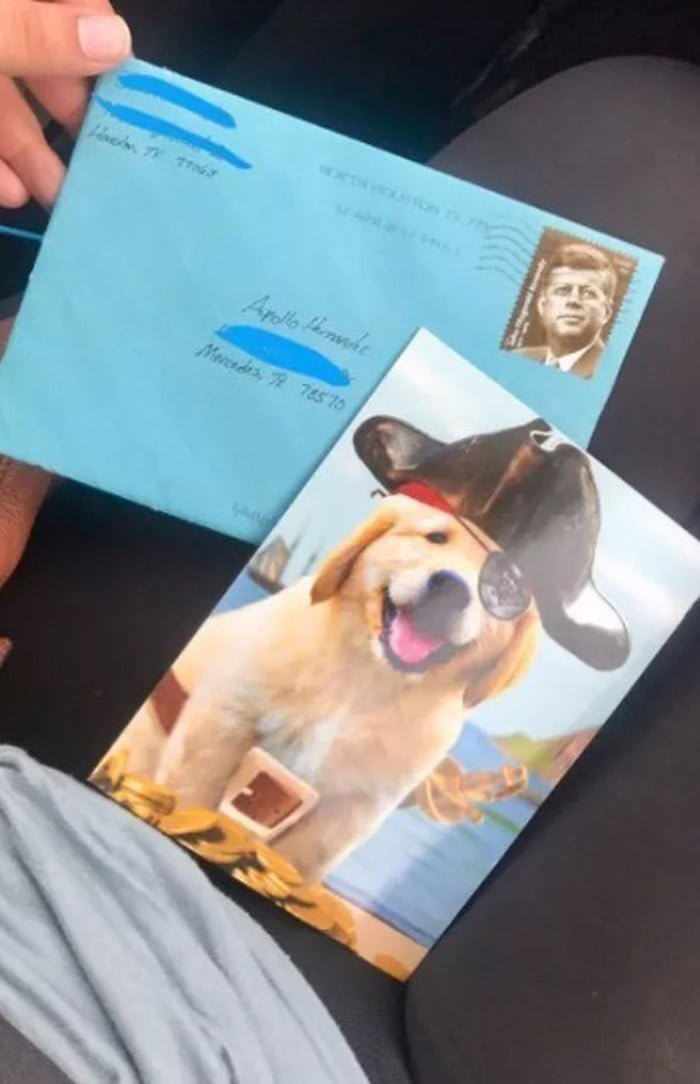 Regalo para Apolo Regalo para Apolo