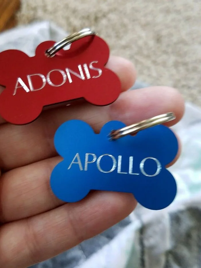 Apolo y Adonis Sus placas de identificación