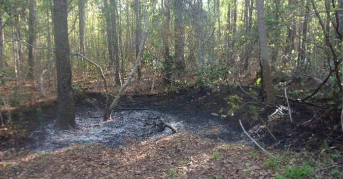 Tres niños son acusados de golpear, encadenar e incinerar a un perro vivo