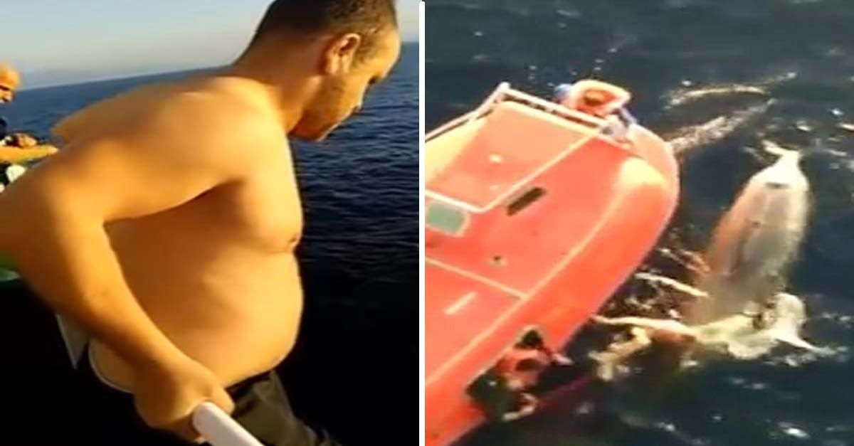 Marinero salta de un buque de carga para salvar a una ballena atrapada