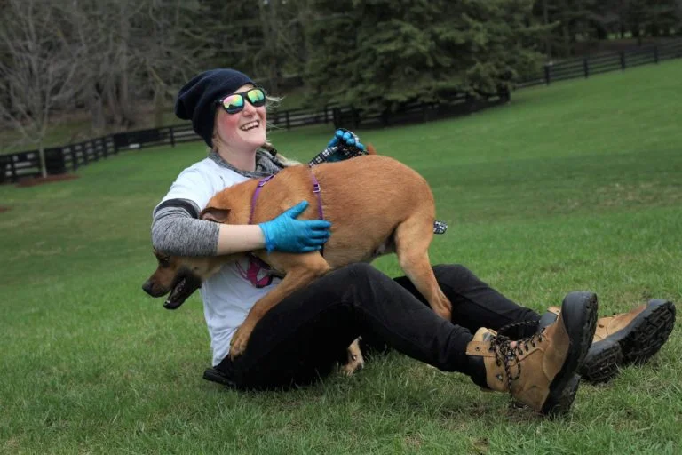 Voluntario juega con perro Voluntario juega con perro