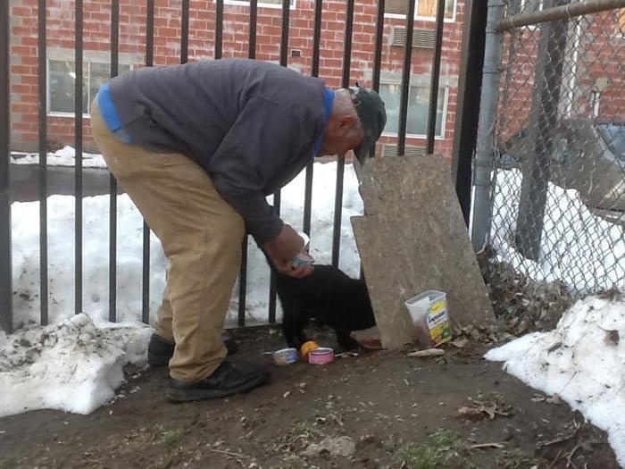 Willie Ortiz Willie Ortiz alimenta a los gatos sin hogar