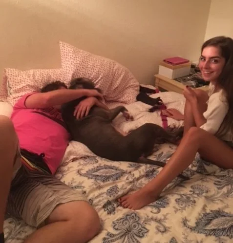Electra y su nueva familia