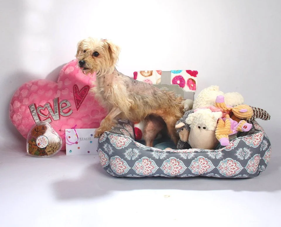 Frannie con regalos