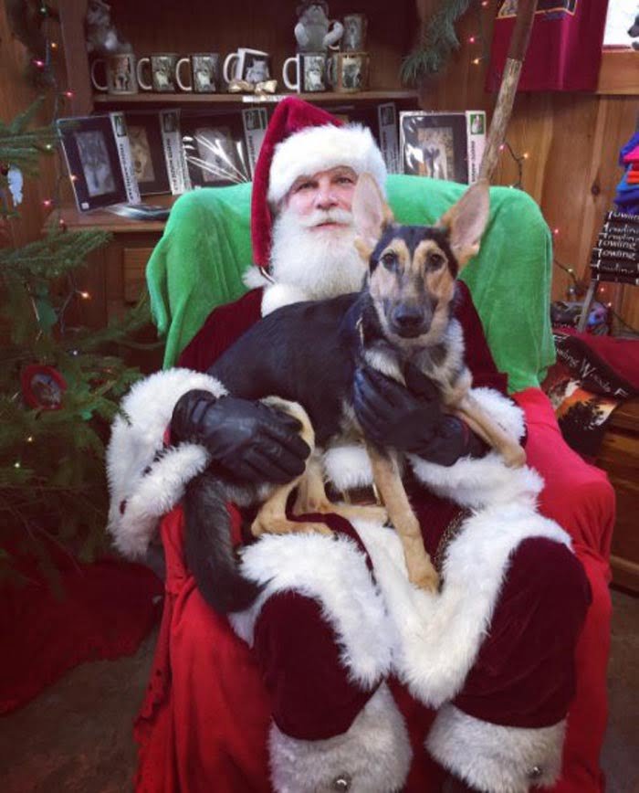 Honey Honey conoció a Santa Claus