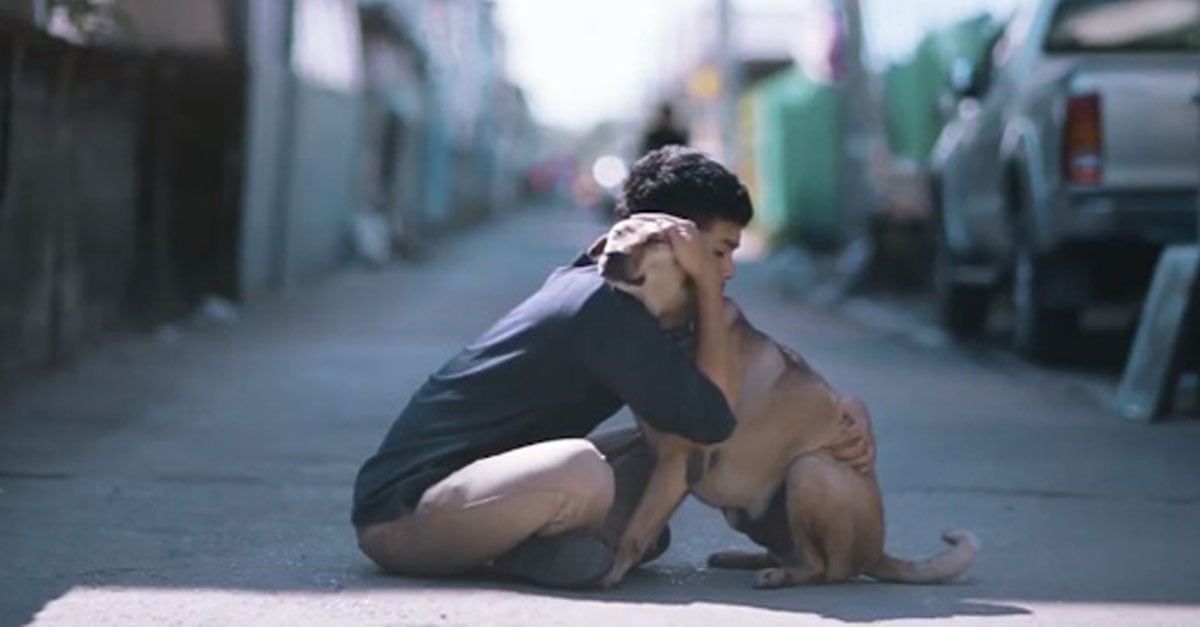 Joven tailandes abraza a perros sin hogar para incentivar a la adopción