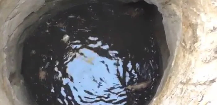 La perra se encontraba en el fondo del pozo
