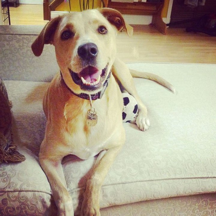 Lana feliz