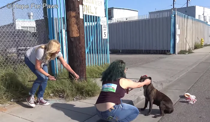 Cassandra Las mujeres lograron tranquilizarla