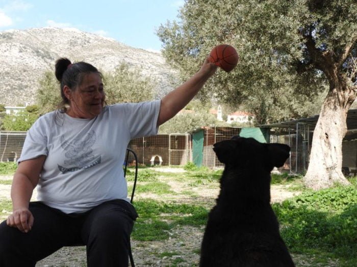 Linda Linda ha rescatado a cientos de perros